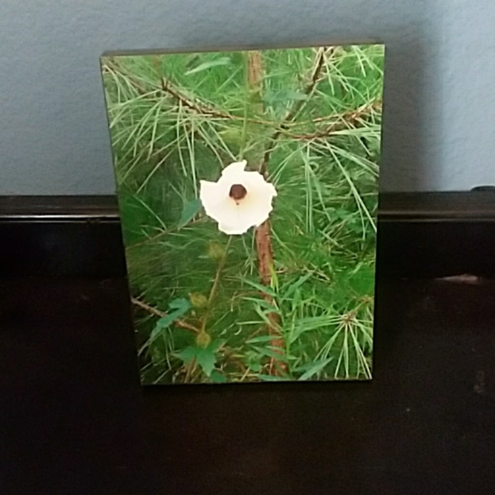 Original Wooden Photo wall decor